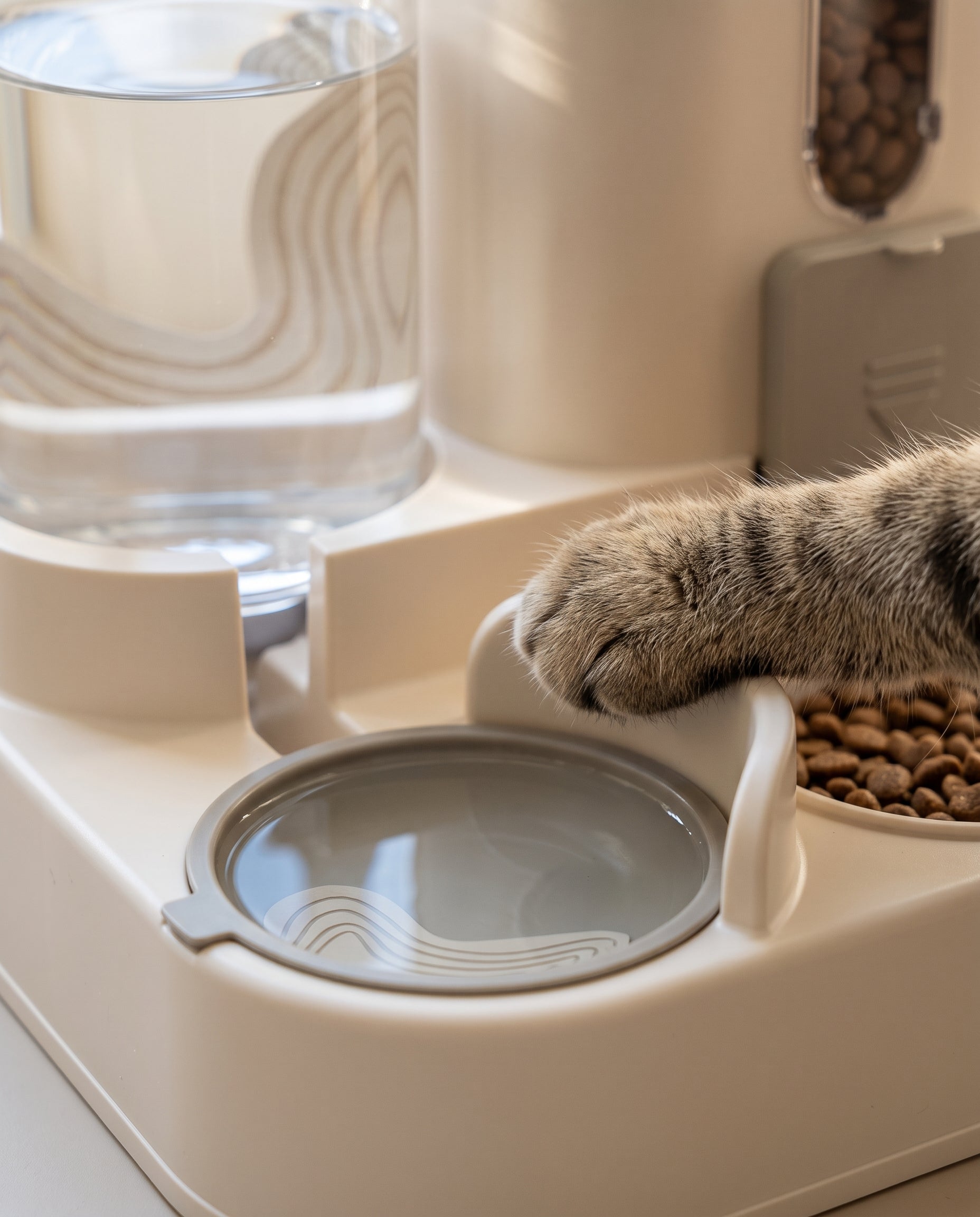 Distributeur automatique pour chats — image 2