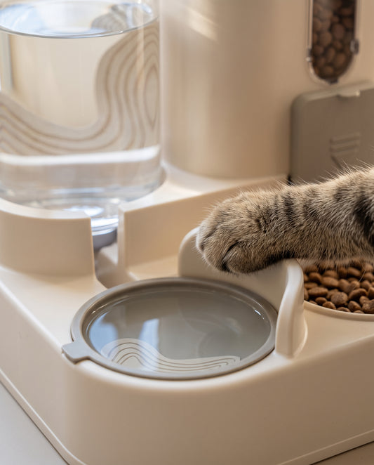 Distributeur automatique pour chats — image 2